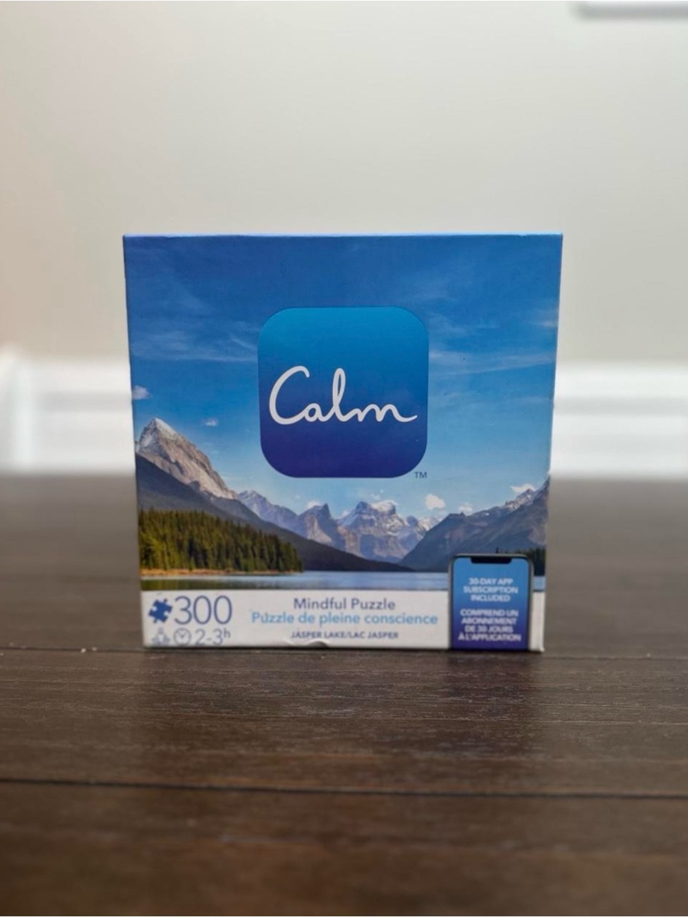 Mindful Puzzle 300-Piece - Blue Scenic Design